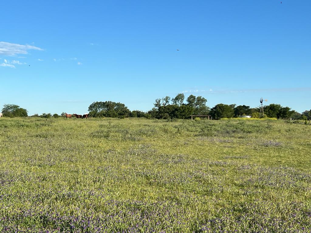 ATENCION INVERSOR FRACCION FRENTE A TERMAS DEL SALADO IDEAL PARA EMPRENDIMIENTO TURISTICO