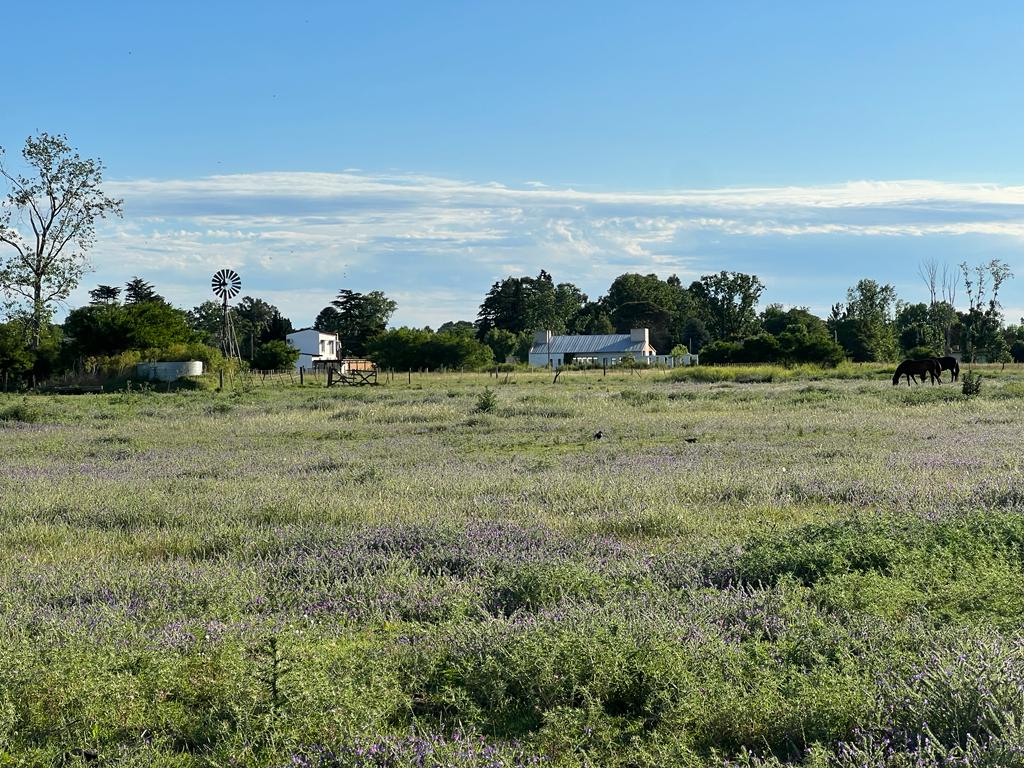 ATENCION INVERSOR FRACCION FRENTE A TERMAS DEL SALADO IDEAL PARA EMPRENDIMIENTO TURISTICO