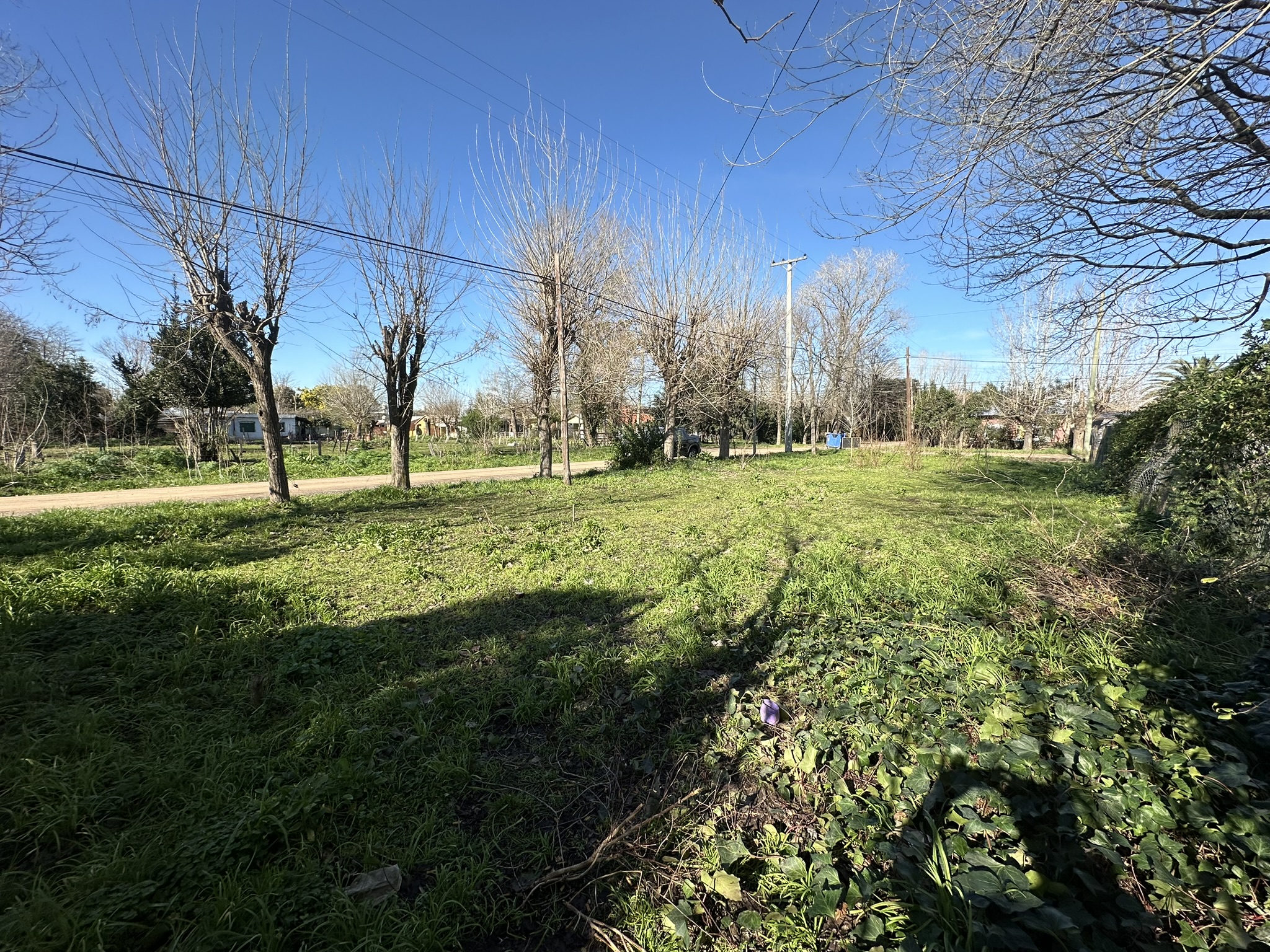 Lote en Venta en Barrio Parque: Tu Refugio de Tranquilidad