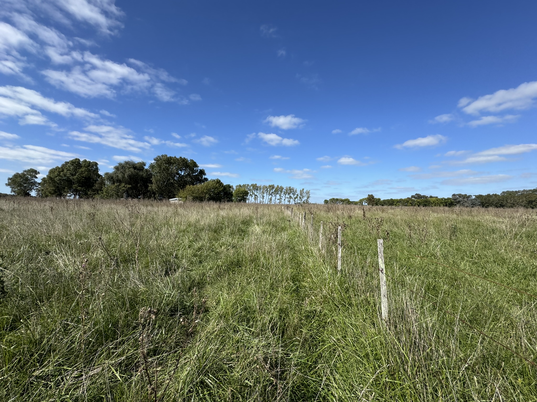 Campo De 30 Hectáreas Con mejoras edilicias Y Uso Mixto
