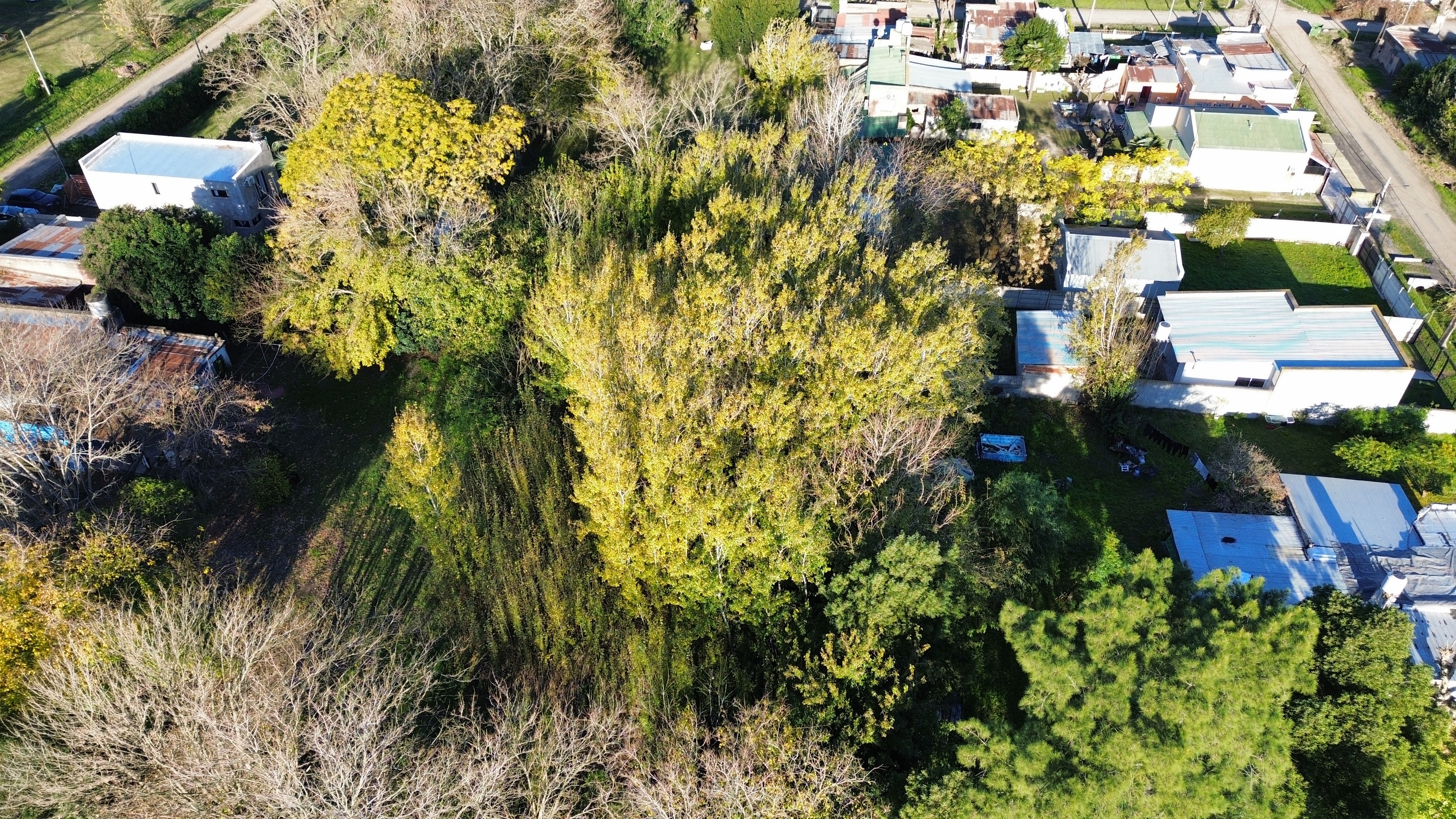 Amplio lote en zona urbana con gran potencial